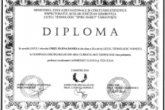 Locul I - Chițu Daniela- Olimpiadă - Aria curriculară Tehnologii