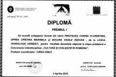 Diploma Cultura si civilizatie in Romania